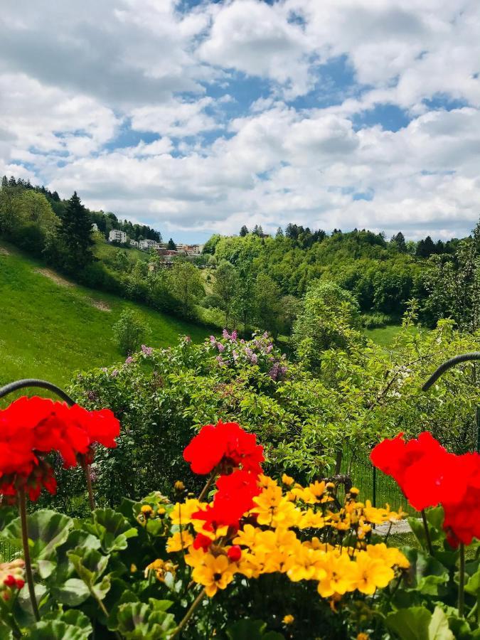 ボスコ・キエザヌオーヴァ オンガー リラックス Bed & Breakfast エクステリア 写真